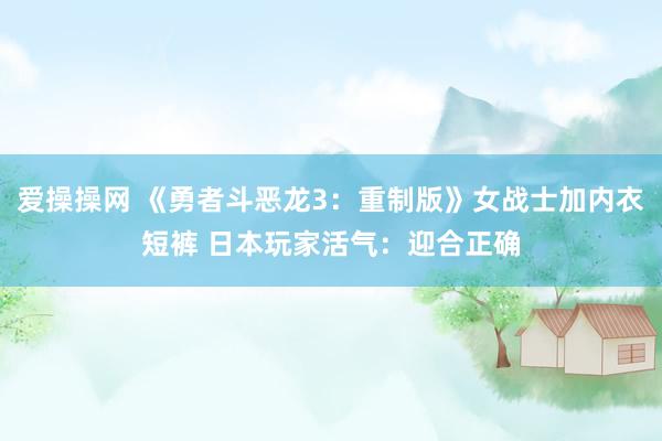 爱操操网 《勇者斗恶龙3：重制版》女战士加内衣短裤 日本玩家活气：迎合正确