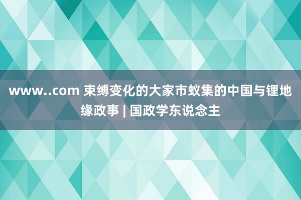 www..com 束缚变化的大家市蚁集的中国与锂地缘政事 | 国政学东说念主