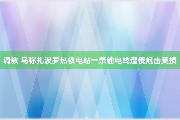 调教 乌称扎波罗热核电站一条输电线遭俄炮击受损