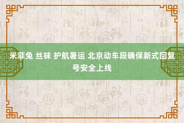 米菲兔 丝袜 护航暑运 北京动车段确保新式回复号安全上线