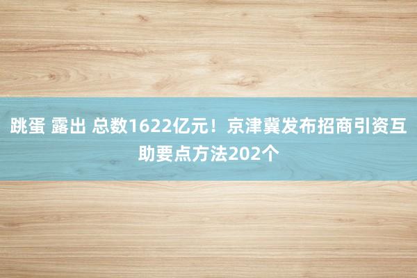 跳蛋 露出 总数1622亿元！京津冀发布招商引资互助要点方法202个