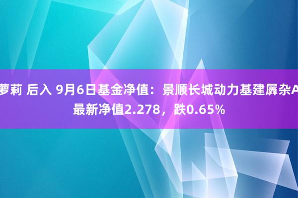 萝莉 后入 9月6日基金净值：景顺长城动力基建羼杂A最新净值2.278，跌0.65%