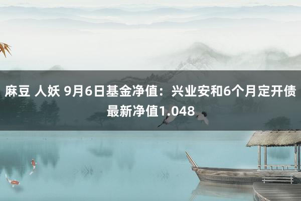 麻豆 人妖 9月6日基金净值：兴业安和6个月定开债最新净值1.048