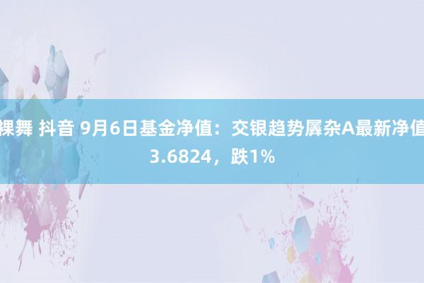 裸舞 抖音 9月6日基金净值：交银趋势羼杂A最新净值3.6824，跌1%