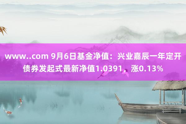 www..com 9月6日基金净值：兴业嘉辰一年定开债券发起式最新净值1.0391，涨0.13%