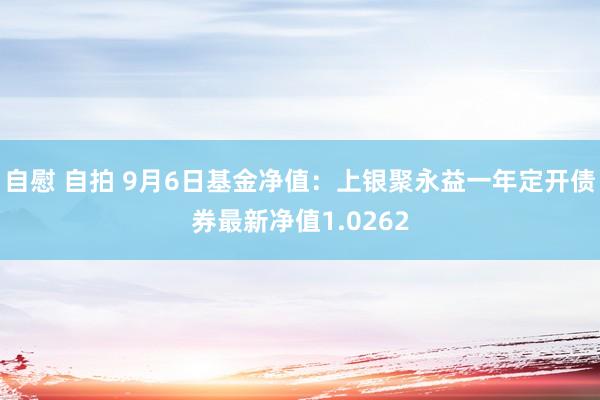 自慰 自拍 9月6日基金净值：上银聚永益一年定开债券最新净值1.0262