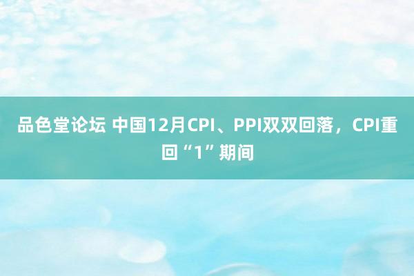 品色堂论坛 中国12月CPI、PPI双双回落，CPI重回“1”期间