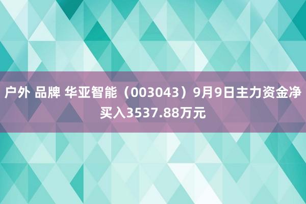 户外 品牌 华亚智能（003043）9月9日主力资金净买入3537.88万元