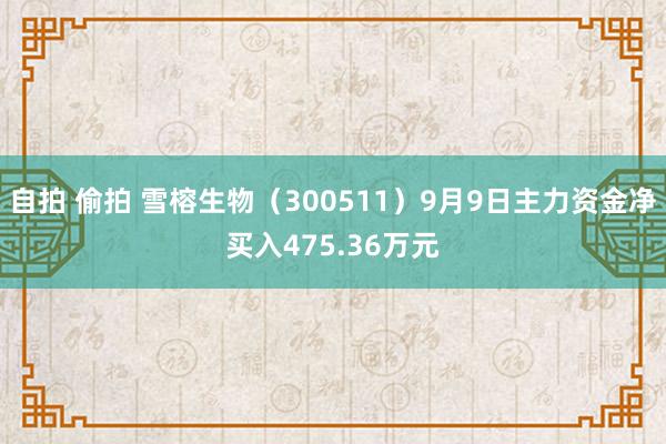 自拍 偷拍 雪榕生物（300511）9月9日主力资金净买入475.36万元