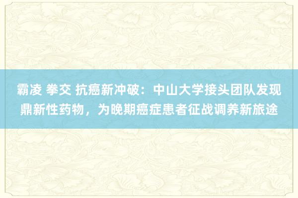 霸凌 拳交 抗癌新冲破：中山大学接头团队发现鼎新性药物，为晚期癌症患者征战调养新旅途