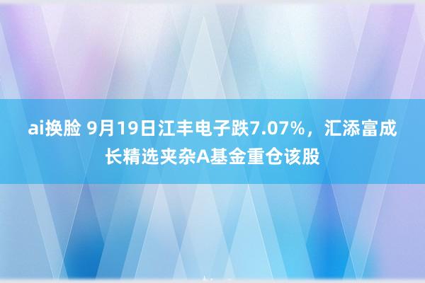 ai换脸 9月19日江丰电子跌7.07%，汇添富成长精选夹杂A基金重仓该股