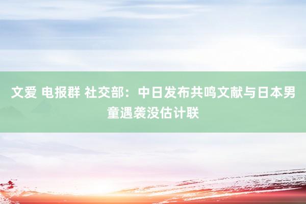 文爱 电报群 社交部：中日发布共鸣文献与日本男童遇袭没估计联