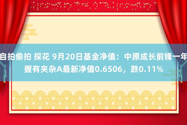 自拍偷拍 探花 9月20日基金净值：中原成长前锋一年握有夹杂A最新净值0.6506，跌0.11%