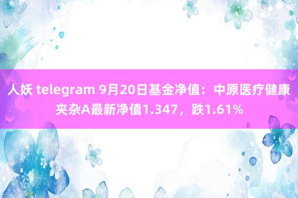 人妖 telegram 9月20日基金净值：中原医疗健康夹杂A最新净值1.347，跌1.61%