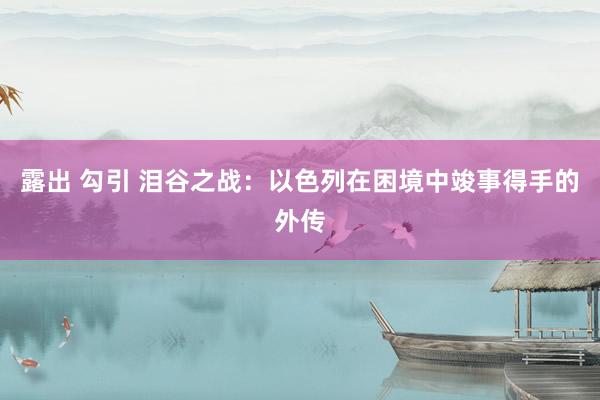 露出 勾引 泪谷之战：以色列在困境中竣事得手的外传