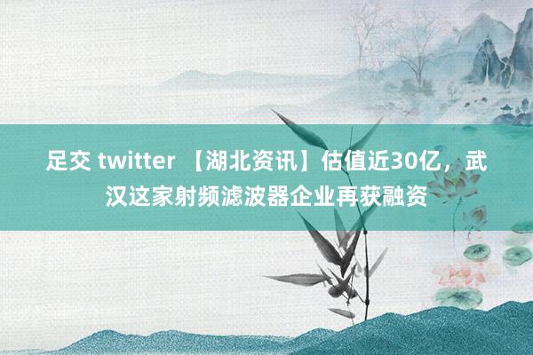 足交 twitter 【湖北资讯】估值近30亿，武汉这家射频滤波器企业再获融资