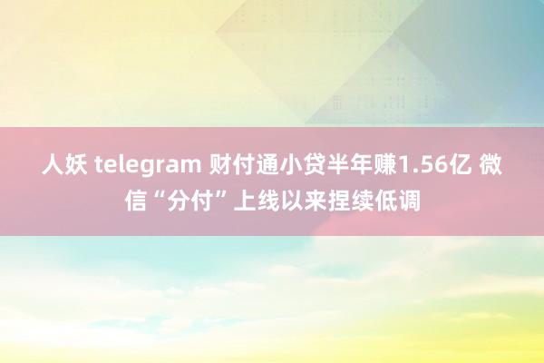 人妖 telegram 财付通小贷半年赚1.56亿 微信“分付”上线以来捏续低调