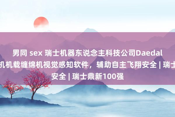 男同 sex 瑞士机器东说念主科技公司Daedalean研发飞机机载缠绵机视觉感知软件，辅助自主飞翔安全 | 瑞士鼎新100强