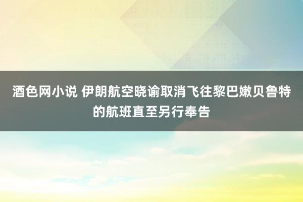 酒色网小说 伊朗航空晓谕取消飞往黎巴嫩贝鲁特的航班直至另行奉告