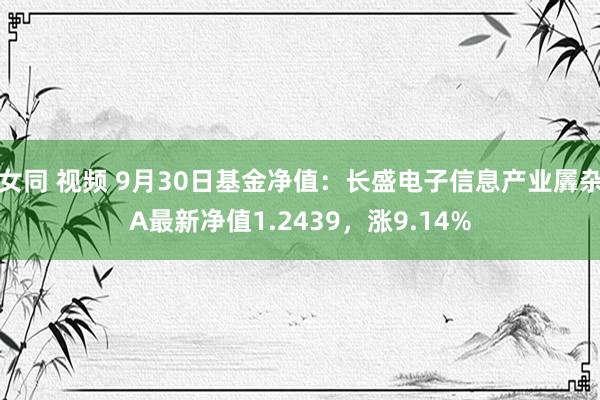 女同 视频 9月30日基金净值：长盛电子信息产业羼杂A最新净值1.2439，涨9.14%