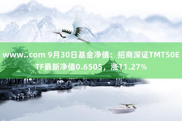 www..com 9月30日基金净值：招商深证TMT50ETF最新净值0.6505，涨11.27%