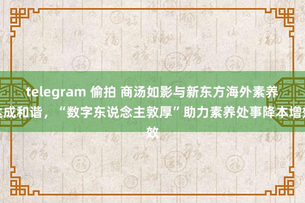 telegram 偷拍 商汤如影与新东方海外素养达成和谐，“数字东说念主敦厚”助力素养处事降本增效