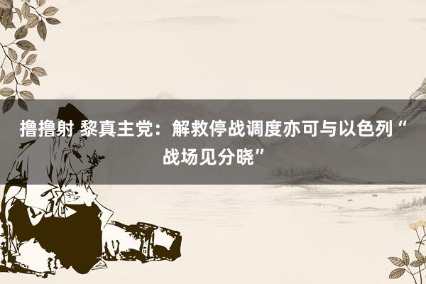 撸撸射 黎真主党：解救停战调度　亦可与以色列“战场见分晓”