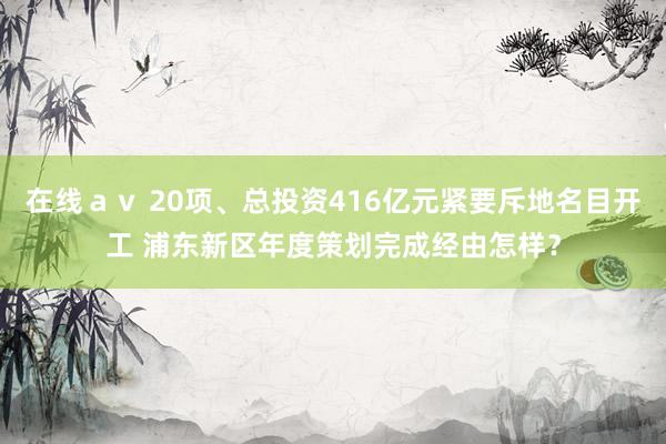 在线ａｖ 20项、总投资416亿元紧要斥地名目开工 浦东新区年度策划完成经由怎样？