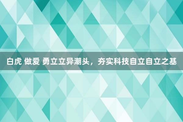 白虎 做爱 勇立立异潮头，夯实科技自立自立之基