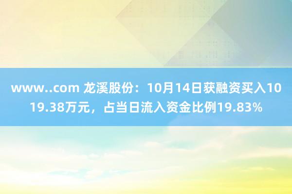 www..com 龙溪股份：10月14日获融资买入1019.38万元，占当日流入资金比例19.83%