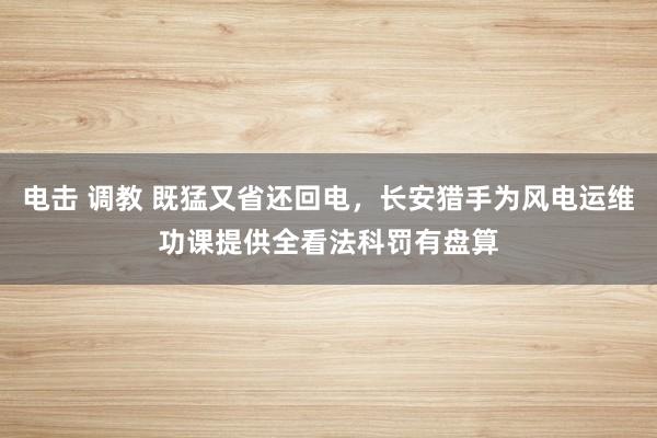 电击 调教 既猛又省还回电，长安猎手为风电运维功课提供全看法科罚有盘算