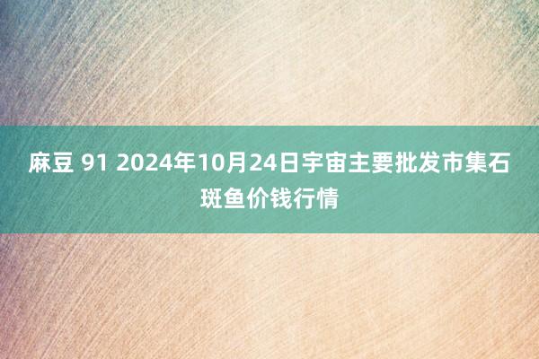 麻豆 91 2024年10月24日宇宙主要批发市集石斑鱼价钱行情