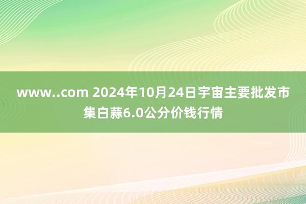 www..com 2024年10月24日宇宙主要批发市集白蒜6.0公分价钱行情