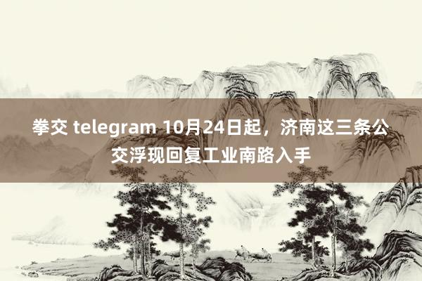 拳交 telegram 10月24日起，济南这三条公交浮现回复工业南路入手