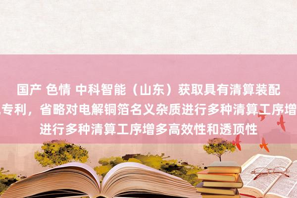 国产 色情 中科智能（山东）获取具有清算装配的电解铜箔制箔机专利，省略对电解铜箔名义杂质进行多种清算工序增多高效性和透顶性