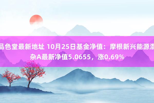 品色堂最新地址 10月25日基金净值：摩根新兴能源混杂A最新净值5.0655，涨0.69%