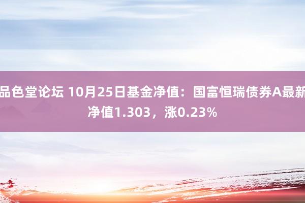 品色堂论坛 10月25日基金净值：国富恒瑞债券A最新净值1.303，涨0.23%