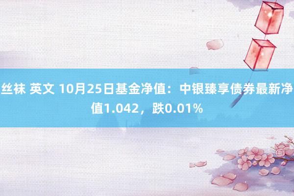 丝袜 英文 10月25日基金净值：中银臻享债券最新净值1.042，跌0.01%