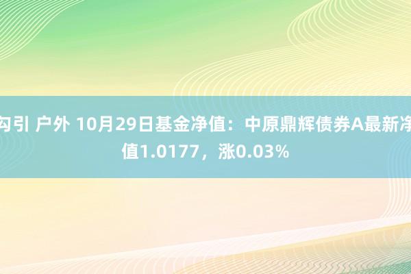 勾引 户外 10月29日基金净值：中原鼎辉债券A最新净值1.0177，涨0.03%