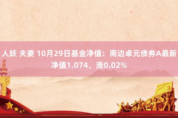 人妖 夫妻 10月29日基金净值：南边卓元债券A最新净值1.074，涨0.02%