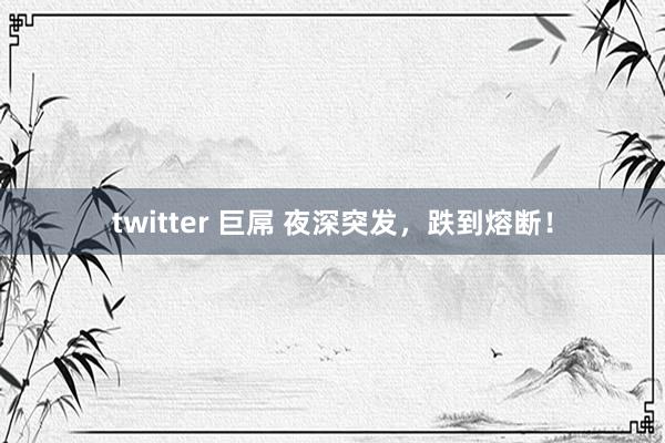 twitter 巨屌 夜深突发，跌到熔断！