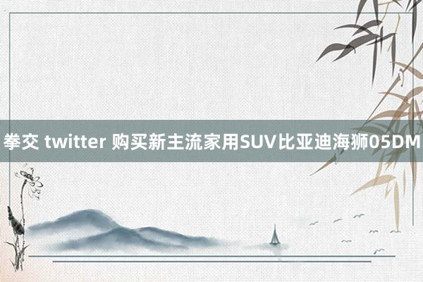 拳交 twitter 购买新主流家用SUV比亚迪海狮05DM