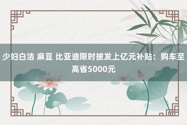 少妇白洁 麻豆 比亚迪限时披发上亿元补贴：购车至高省5000元