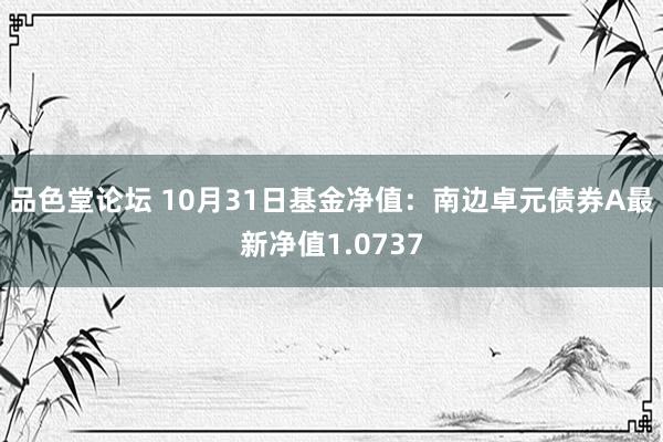 品色堂论坛 10月31日基金净值：南边卓元债券A最新净值1.0737