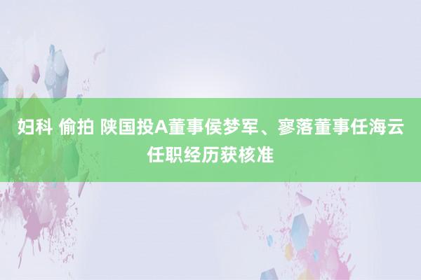 妇科 偷拍 陕国投A董事侯梦军、寥落董事任海云任职经历获核准