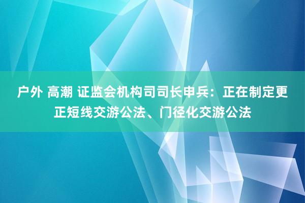 户外 高潮 证监会机构司司长申兵：正在制定更正短线交游公法、门径化交游公法