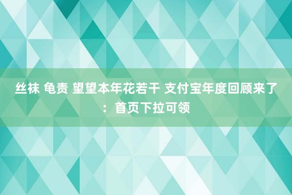 丝袜 龟责 望望本年花若干 支付宝年度回顾来了：首页下拉可领