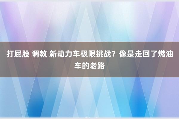 打屁股 调教 新动力车极限挑战？像是走回了燃油车的老路