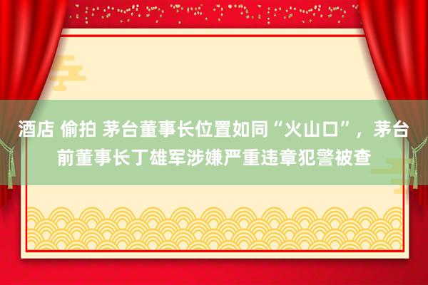 酒店 偷拍 茅台董事长位置如同“火山口”，茅台前董事长丁雄军涉嫌严重违章犯警被查