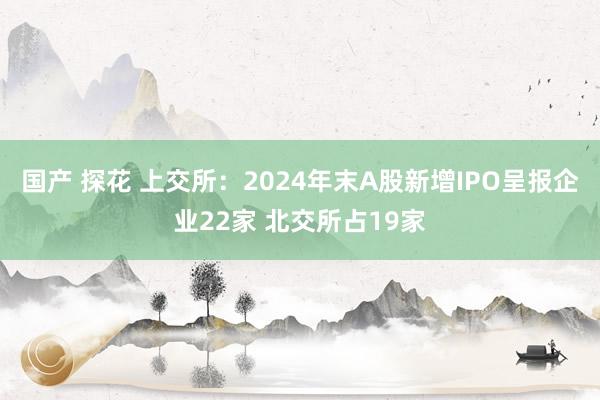 国产 探花 上交所：2024年末A股新增IPO呈报企业22家 北交所占19家